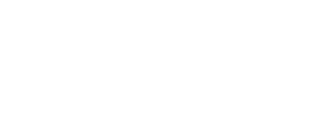 logoWhite